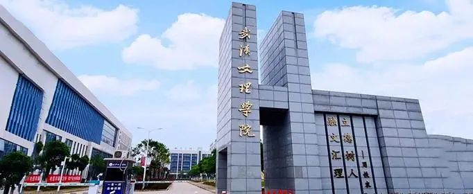 lewin乐玩官网-相信品牌力量