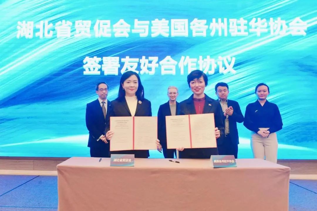 lewin乐玩官网-相信品牌力量