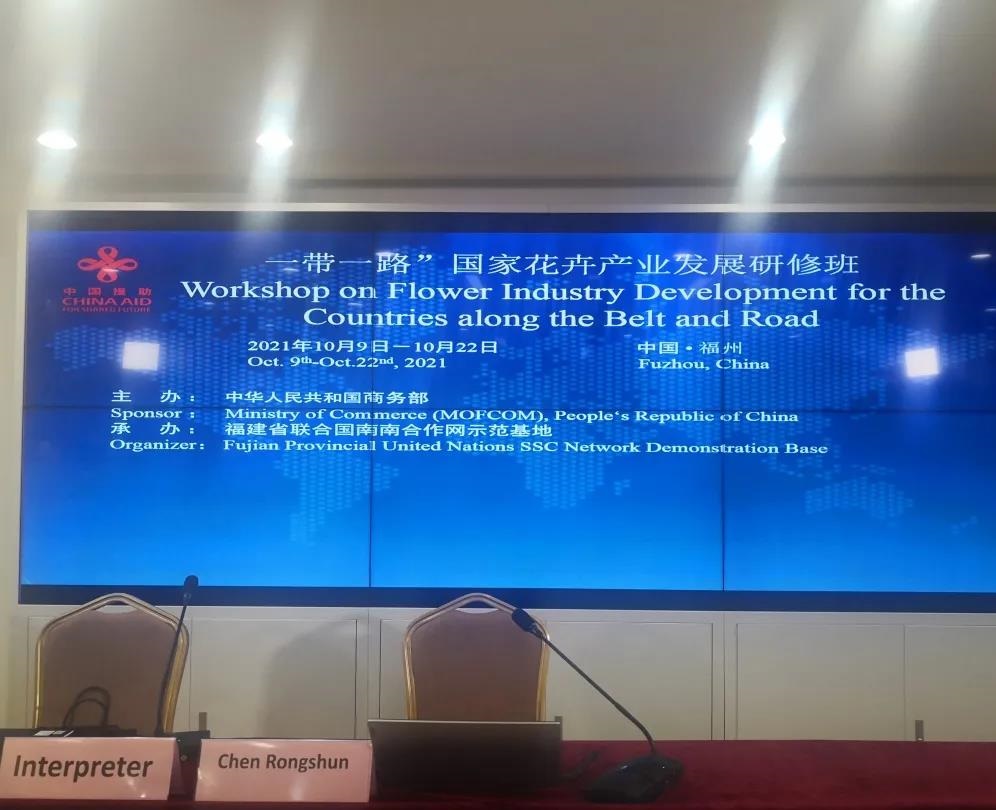 lewin乐玩官网-相信品牌力量